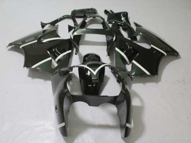 Gris Metalizado & Negro 00-02 ZX6R Carenado