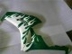 Descuento Carenados Moto Honda CBR1000RR 2006-2007 - Blanco Verde Llama
