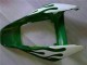 Descuento Carenados Moto Honda CBR1000RR 2006-2007 - Blanco Verde Llama
