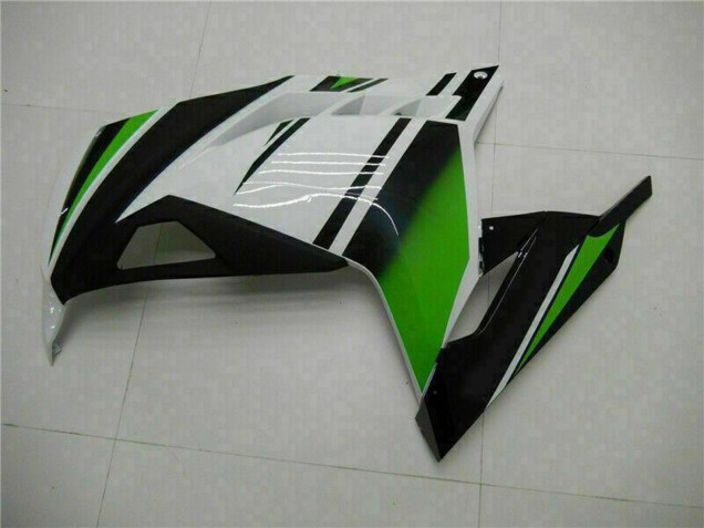 Descuento Carenados Moto Kawasaki Ninja 300 EX300R 2013-2024 - Blanco Verde Negro