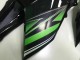 Descuento Carenado Moto Kawasaki Z800 2013-2018 - Verde Negro Brillante