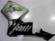 Descuento Carenado Moto Honda CBR600RR 2003-2004 - Plata Verde Negro Brillante