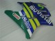 Descuento Carenados Moto Honda CBR600 F3 1995-1996 - Azul Verde Amarillo MoviStar Rojo Castrol