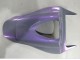 Descuento Carenados Moto Honda CBR1000RR 2006-2007 - Camaleón Gris Dazz Púrpura Perla