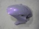 Descuento Carenados Moto Honda CBR1000RR 2004-2005 - Camaleón Gris Dazz Púrpura Perla