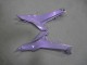 Descuento Carenados Moto Kawasaki Ninja 650 EX650 2020-2026 - Camaleón Gris Dazz Púrpura Perla