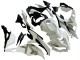 Descuento Carenados Moto Kawasaki ZX25R ZX-25R 2019-2025 - Blanco Plata Verde Negro Trick Star