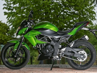 Descuento Carenados Moto Kawasaki Z250/Z300 2015-2016 - Verde Negro Mate