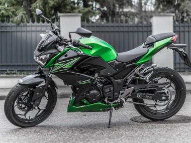 Descuento Kits Carenado Moto Kawasaki Z250/Z300 2015-2016 - Verde Negro Mate