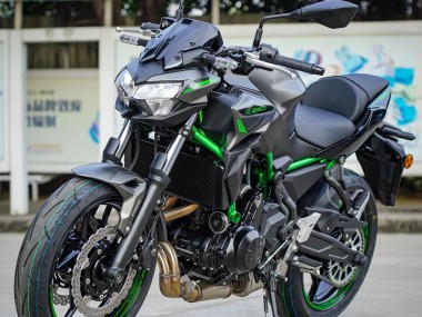 Descuento Carenados Moto Kawasaki Ninja Z650 2020-2023 - Negro Verde