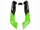 Descuento Carenados Moto Kawasaki ZZR400 1993-2007 - Verde Negro Brillante Llama
