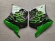 Descuento Carenados Moto Kawasaki ZZR1100 1993-2003 - Negro Brillante Verde Llama