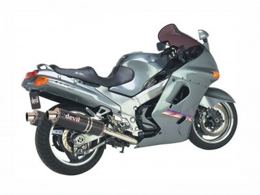 Descuento Carenados Moto Kawasaki ZZR1100 1993-2003 - Gris