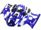 Descuento Carenado Moto Yamaha YZF600R Thundercat 1996-2007 - Azul Blanco Plata
