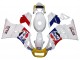 Descuento Carenados Moto Suzuki RG400 RG500 RG400/500 1984-1987 - Blanco Rojo Azul Amarillo Motul Michelin Pepsi