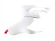Descuento Carenados Moto Ducati Panigale V2 2020-2024 - Blanco Rojo Negro Mate