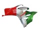 Descuento Carenados Moto Ducati Panigale V2 2020-2024 - Plata Rojo Verde