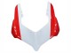 Descuento Carenados Moto Ducati Panigale V2 2020-2024 - Plata Rojo Verde