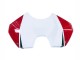 Descuento Carenados Moto Ducati Panigale V4 V4S 2018-2019 - Blanco Rojo Verde Negro Brillante