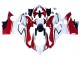 Descuento Carenados Moto Ducati Panigale V4 V4S 2018-2019 - Blanco Rojo Verde Negro Brillante