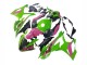 Descuento Carenados Moto BMW S1000RR 2023-2024 - Rosa Verde Negro