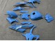 Descuento Carenados Moto BMW S1000RR 2023-2024 - Azul Brillante
