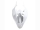 Descuento Carenados Moto Yamaha YZF 1000 R1 2004-2006 - Blanco Oro Calcomanías