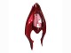 Descuento Carenados Moto Yamaha YZF 1000 R1 2004-2006 - Rojo Negro Brillante