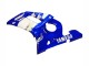 Descuento Carenados Moto Yamaha YZF 600 R6 1998-2002 - Azul Blanco
