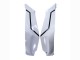 Descuento Carenados Moto Kawasaki ZX10R 2021-2025 - Blanco Negro
