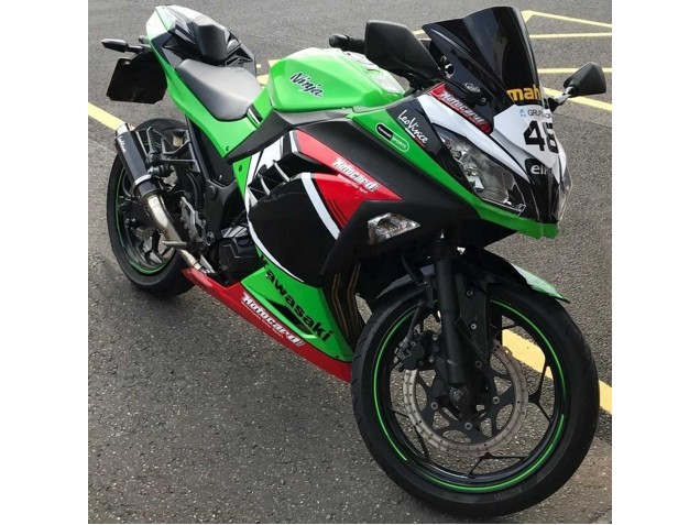 Descuento Carenados Moto Kawasaki EX300 2013-2024 - Verde Blanco Rojo Negro Elf