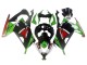 Descuento Carenados Moto Kawasaki EX300 2013-2024 - Verde Blanco Rojo Negro Elf