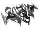 Descuento Carenados Moto Kawasaki EX300 2013-2024 - Negro Brillante Negro Mate Verde