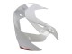 Descuento Carenados Moto Honda CBR900RR 929 2000-2001 - Blanco Rojo