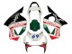 Descuento Carenados Moto Honda CBR900RR 954 2002-2003 - Blanco Rojo Verde Negro Brillante Castrol