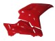 Descuento Carenado Moto Ducati 1098 2007-2014 - Rojo