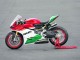 Descuento Carenados Moto Ducati 1299 2015-2020 - Blanco Rojo Verde Negro Mate