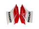 Descuento Carenados Moto Ducati 1299 2015-2020 - Blanco Rojo Verde Negro Mate