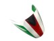 Descuento Carenado Moto Ducati Monster 696 796 1100 1100S 2008-2012 - Blanco Rojo Verde