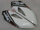 Descuento Carenados Moto Honda CBR1000RR 2004-2005 - Blanco Azul Rojo Negro Brillante Estrella Carrera Lee