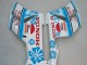 Descuento Carenados Moto Honda CBR1000RR 2004-2005 - Blanco Azul Nieve Nastro Azzurro 46