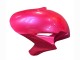 Descuento Carenados Moto Honda CBR1000RR 2004-2005 - Rosa Negro Brillante