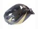 Descuento Carenado Moto Honda CBR600RR 2005-2006 - Negro Oro