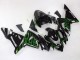 Descuento Carenados Moto Kawasaki ZX10R 2004-2005 - Negro Verde Llama Ninja
