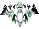 Descuento Carenados Moto Kawasaki ZX10R 2004-2005 - Verde Plata Negro 69