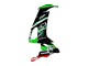 Descuento Carenados Moto Kawasaki ZX10R 2008-2010 - Verde Blanco Rojo Negro Monstruo Elf 66
