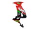 Descuento Carenados Moto Kawasaki ZX10R 2008-2010 - Rojo Verde Negro
