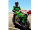 Descuento Carenados Moto Kawasaki ZX10R 2011-2015 - Verde Amarillo Blanco Negro Rojo Pirelli