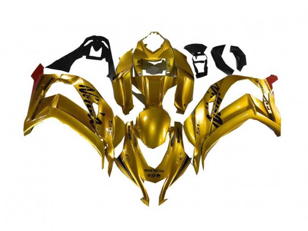 Descuento Carenado Moto Kawasaki ZX10R 2016-2020 - Oro Negro