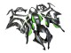 Descuento Carenados Moto Kawasaki ZX10R 2016-2020 - Negro Mate Verde Blanco Ninja